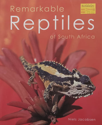 Remarkable Reptiles of South Africa | Niels Jacobsen