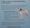 Parson and Jack Russell Terriers (With DVD) | Joanna Kosloff