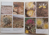 Namaqualand (Pride of South Africa Series) | Barbara Jeppe