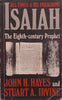 Isaiah: His Times & His Preaching | John H. Hayes & Stuart A. Irvine