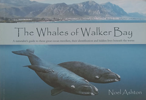 The Whales of Walker Bay | Noel Ashton