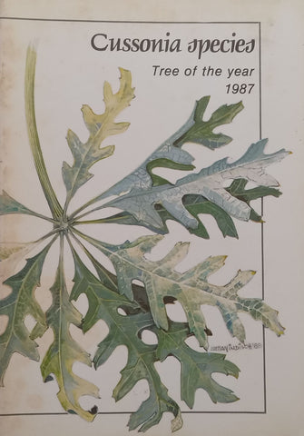 Cussonia Species: Tree of the Year 1987