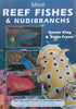 More Reef Fishes & Nudibranchs | Dennis King & Valda Fraser