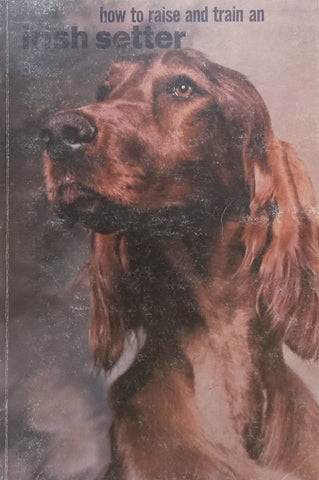 How to Raise and Train an Irish Setter | Robert Gannon