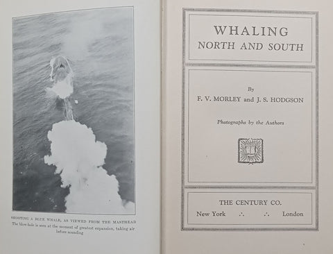 Whaling North and South | F. V. Morley & J. S. Hodgson