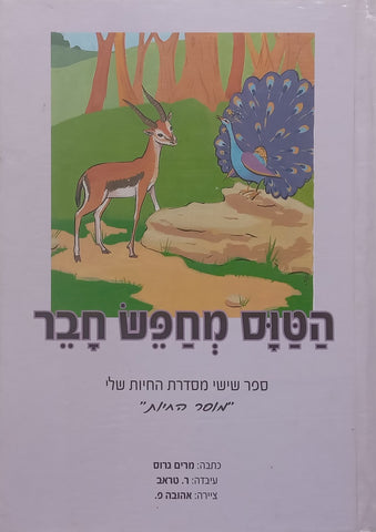 Hattus is Looking for a Friend (Hebrew) | Miriam Ross