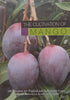 The Cultivation of Mango | E. A. de Villiers & P. H. Joubert (Eds.)