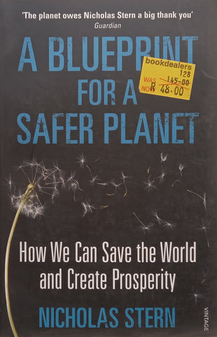 Blueprint for a Safer Planet: How We can Save the World and Create Prosperity | Nicholas Stern