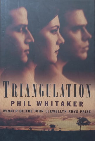 Triangulation (Hardcover) | Phil Whitaker