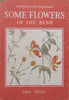 Some Flowers of the Bush | Joan Hoyle