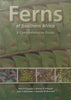 Ferns of Southern Africa: A Comprehensive Guide | Neil R. Crouch, et al.