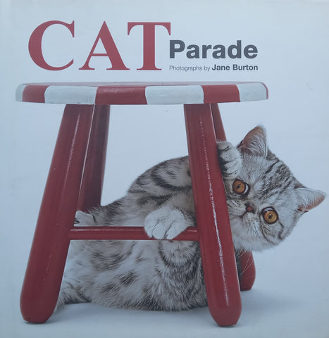 Cat Parade | Jane Burton (Photographer)