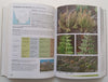 Ferns of Southern Africa: A Comprehensive Guide | Neil R. Crouch, et al.