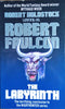 The Labyrinth | Robert Faulcon (Robert Holdstock)