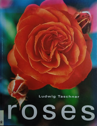Roses | Ludwig Taschner