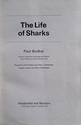 The Life of Sharks | Paul Budker