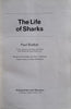 The Life of Sharks | Paul Budker