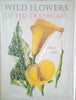 Wild Flowers of the Transvaal [Signed by the Illustrator and All the Authors] | Cynthia Letty, R.A. Dyer, Inez C. Verdoorn and L.E. Codd