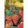 Bookdealers:Soledad | Jacqueline Phillips